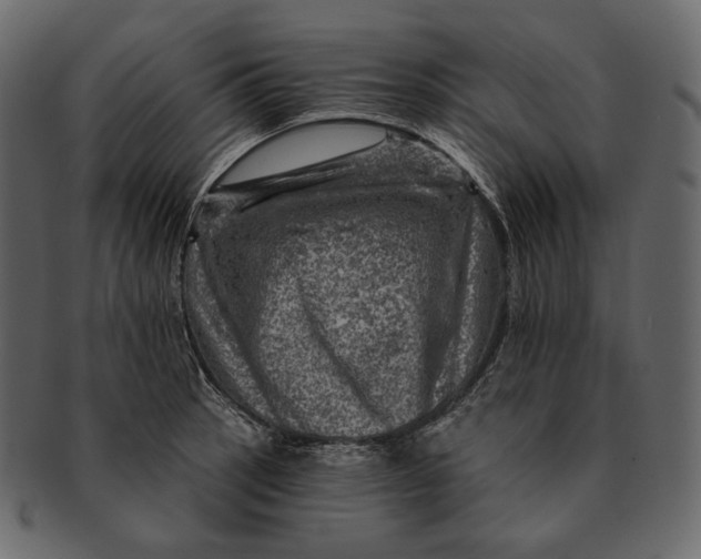 X0000092301137200710051215