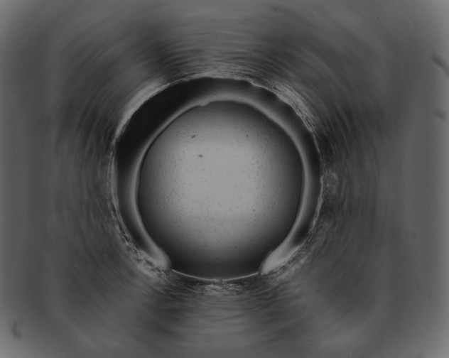 X0000092301138200710051215