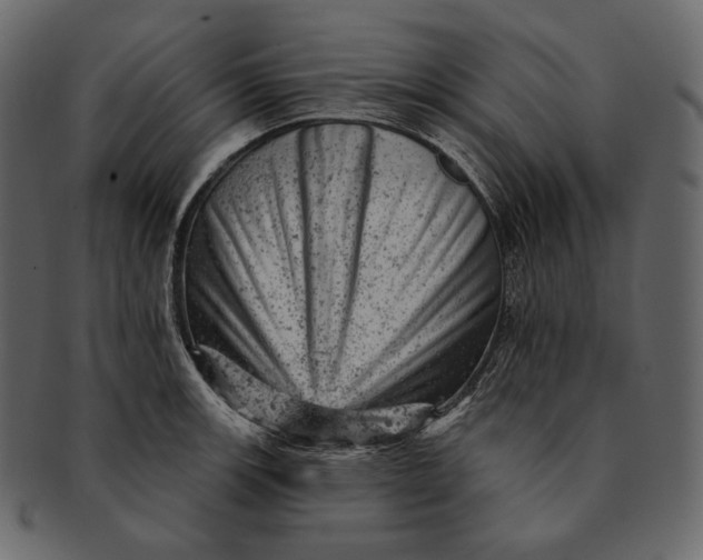 X0000092301139200710051215