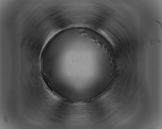 X0000092301140200710051215