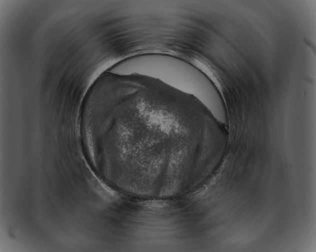 X0000092301141200710051215