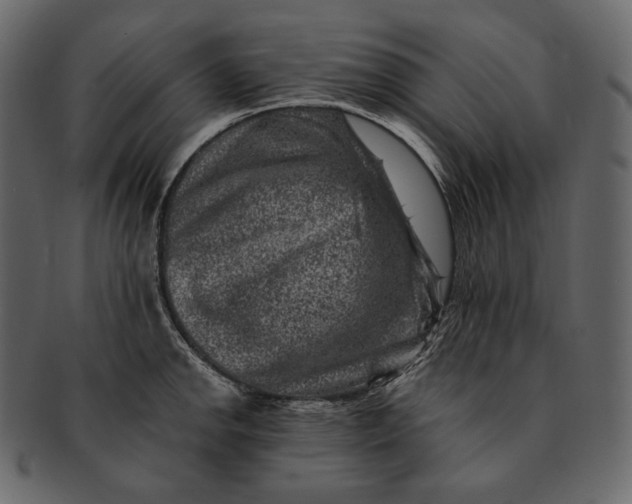 X0000092301142200710051215