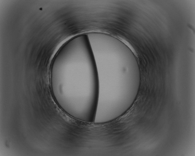 X0000092301148200710051215