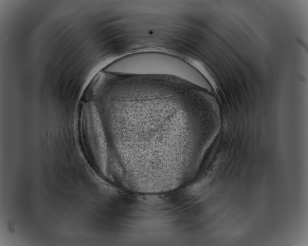 X0000092301149200710051215