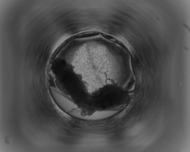 X0000092301151200710051215