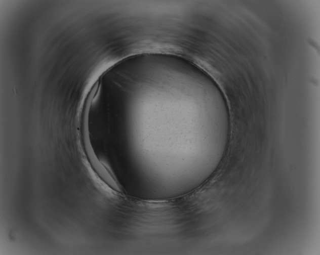 X0000092301152200710051216