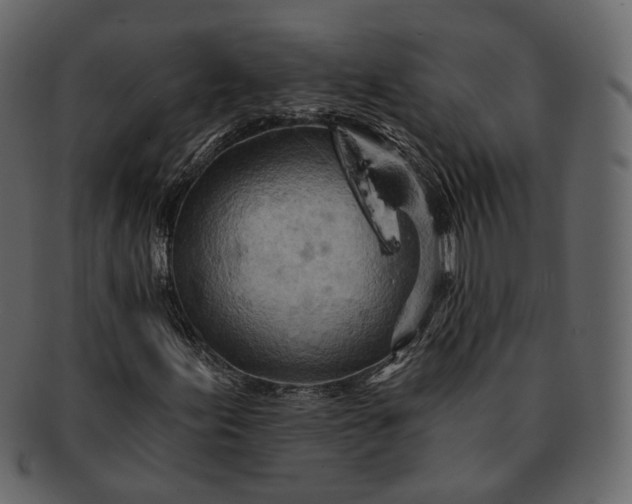 X0000092301155200710051215