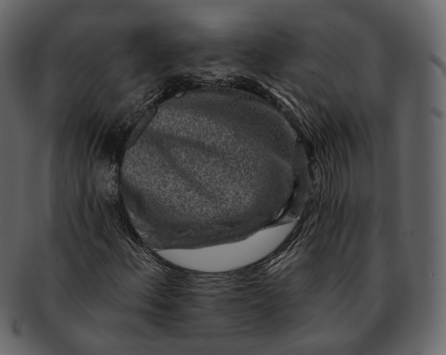 X0000092301156200710051215