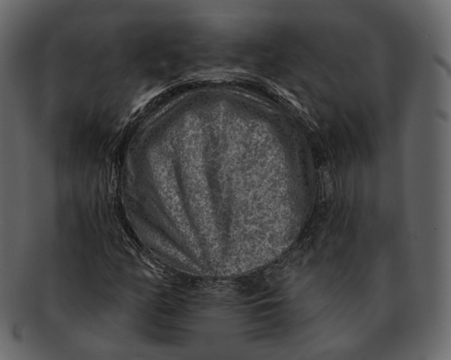 X0000092301158200710051215