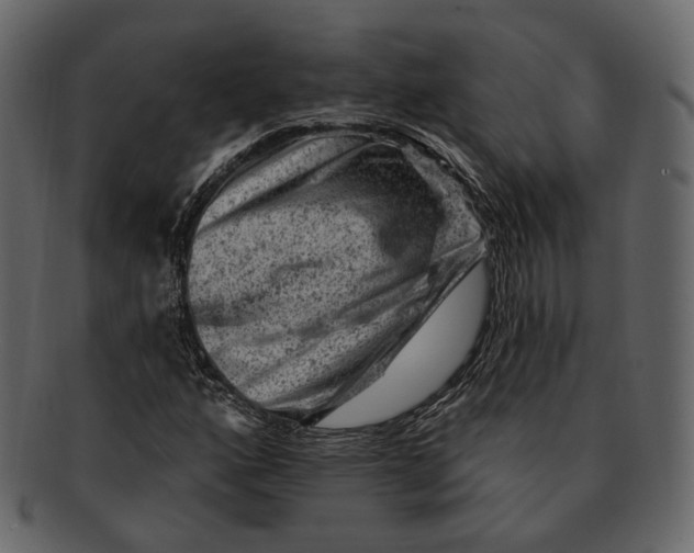 X0000092301160200710051215