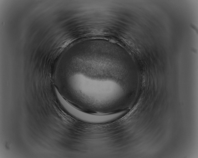 X0000092301161200710051215