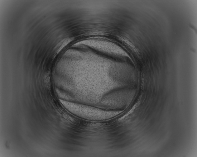 X0000092301162200710051215