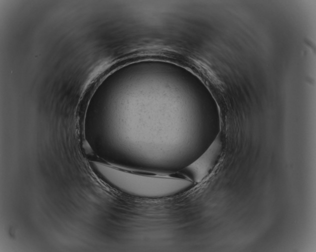 X0000092301164200710051215