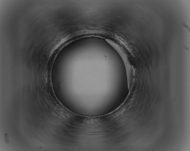 X0000092301165200710051215