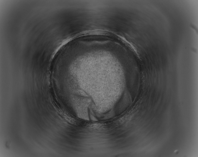 X0000092301166200710051215