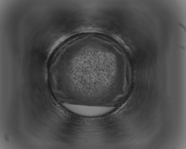 X0000092301167200710051215