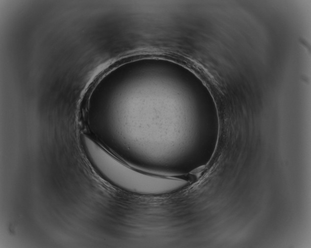 X0000092301168200710051215