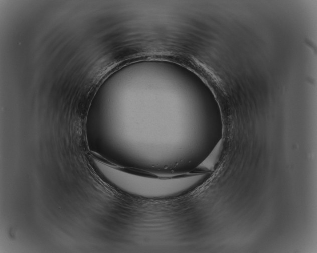 X0000092301169200710051215