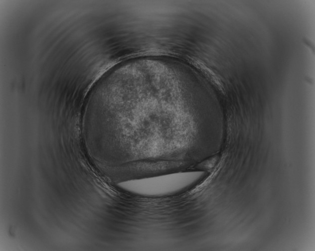 X0000092301170200710051215