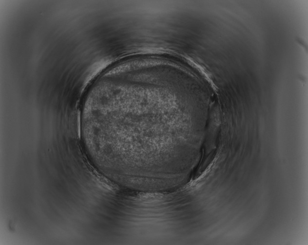 X0000092301171200710051215