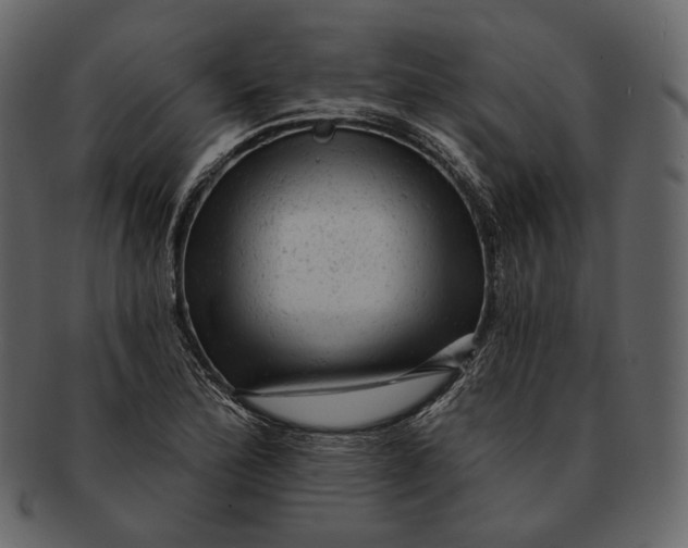 X0000092301172200710051215