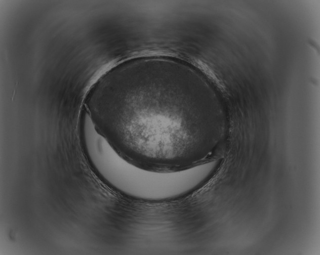 X0000092301173200710051215