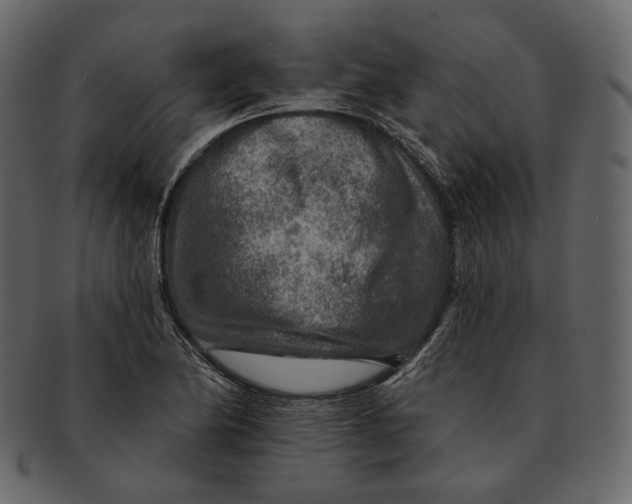 X0000092301174200710051215