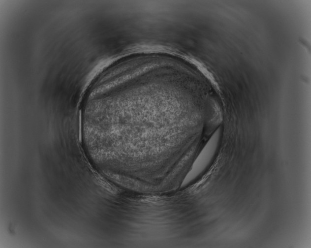 X0000092301175200710051215