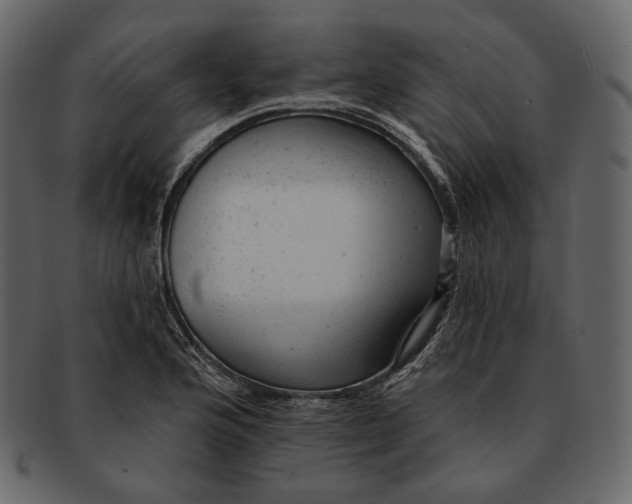 X0000092301176200710051215