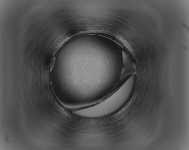 X0000092301177200710051215