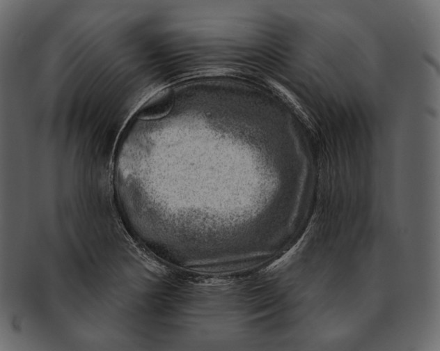 X0000092301178200710051215