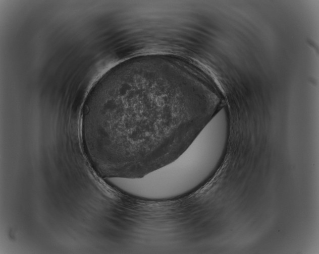 X0000092301179200710051215