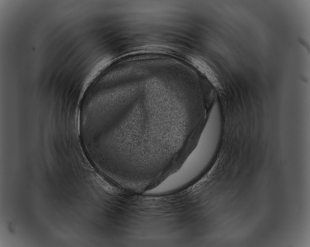 X0000092301180200710051215