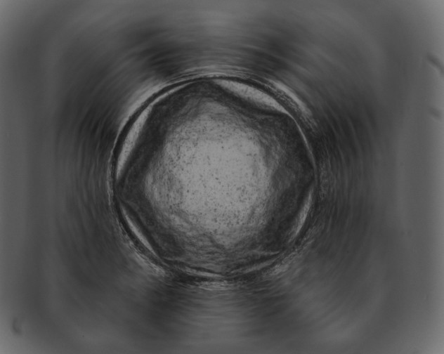 X0000092301182200710051215