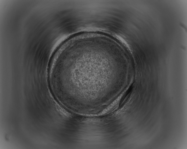 X0000092301183200710051215