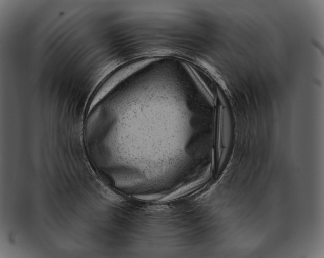 X0000092301186200710051215