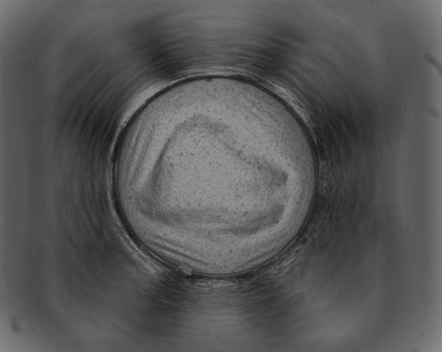 X0000092301187200710051215