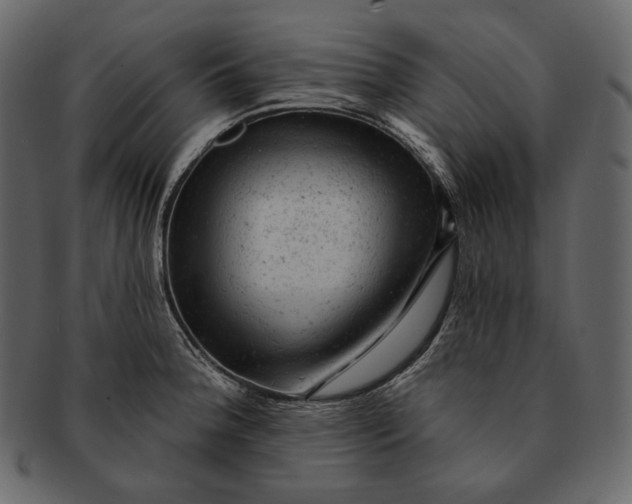 X0000092301188200710051215