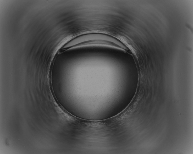 X0000092301189200710051215