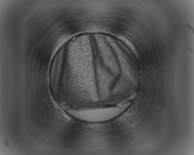 X0000092301191200710051214