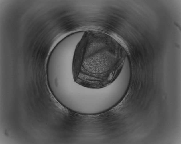 X0000092301192200710051214