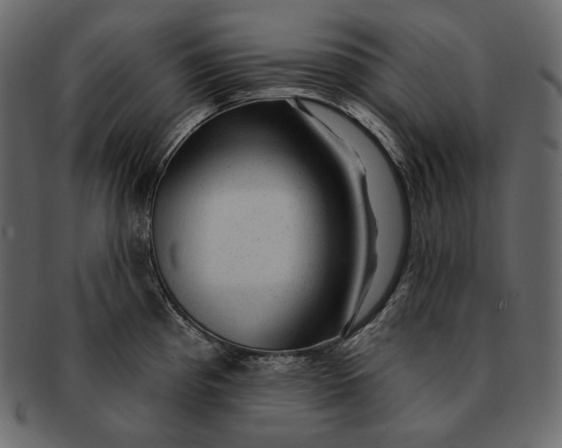 X0000092301193200710051214