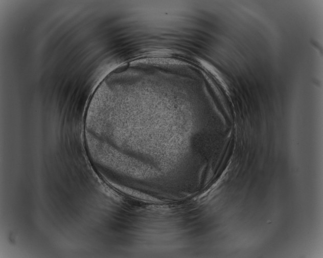 X0000092301194200710051214