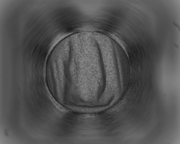 X0000092301195200710051214