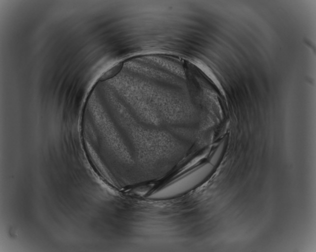 X0000092301197200710051214