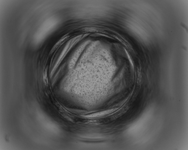 X0000092301198200710051214