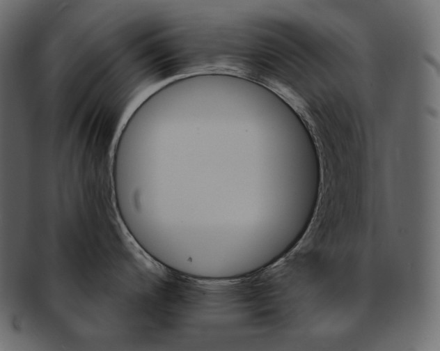 X0000092301200200710051214