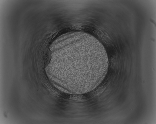 X0000092301201200710051214