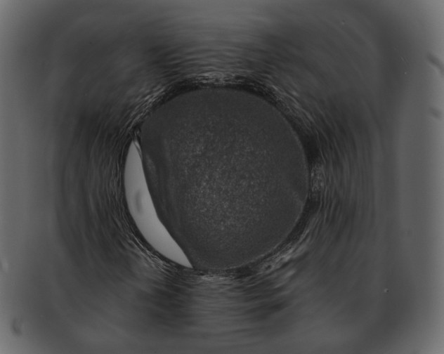 X0000092301202200710051214