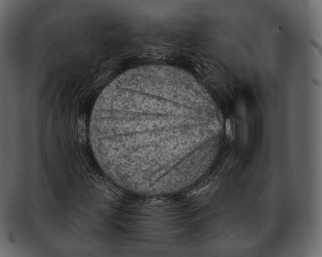 X0000092301203200710051214